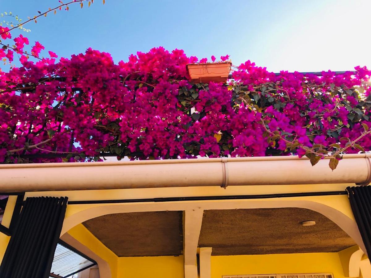Petite Flower Guest House Talata-maty Luaran gambar